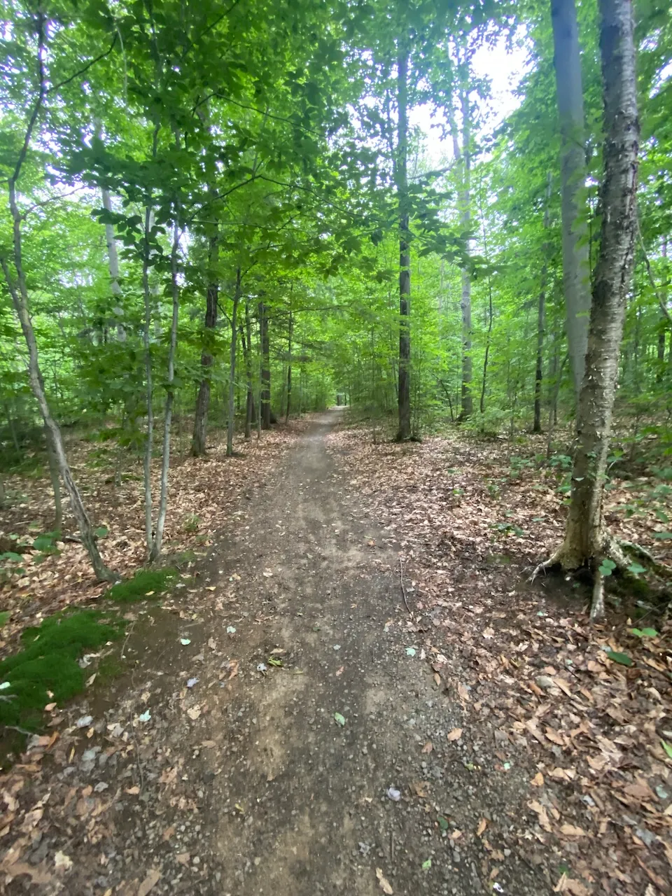 Sentier - la facile (secteur des chutes)