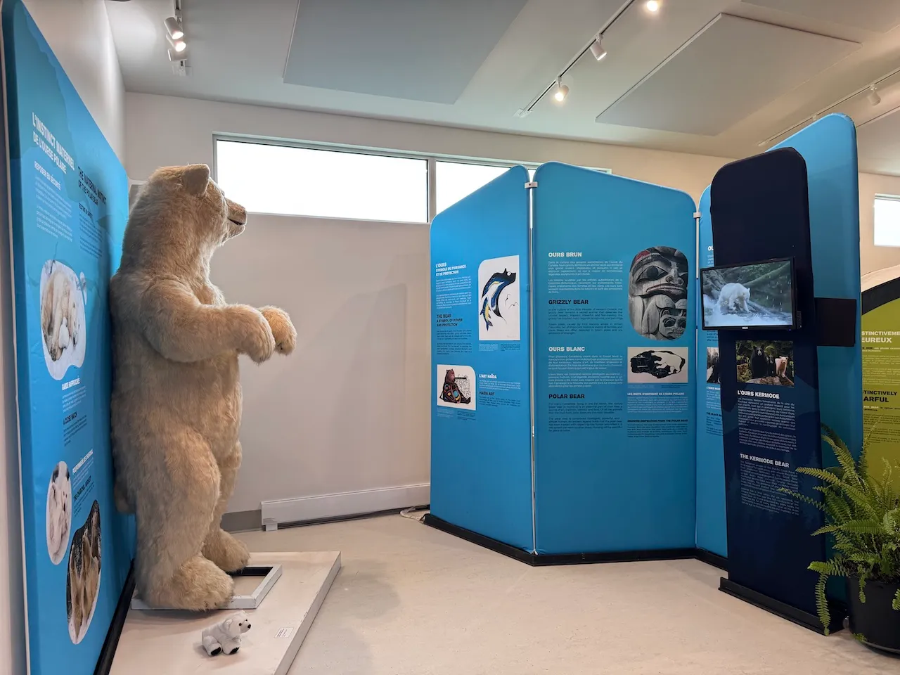 Exposition - Ours du Canada
