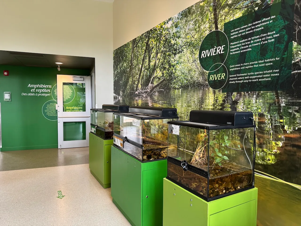 Exposition Amphibiens et reptiles