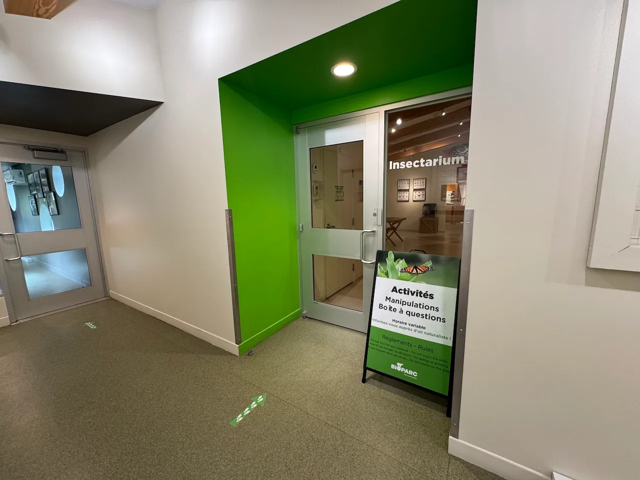 Insectarium - Entrée