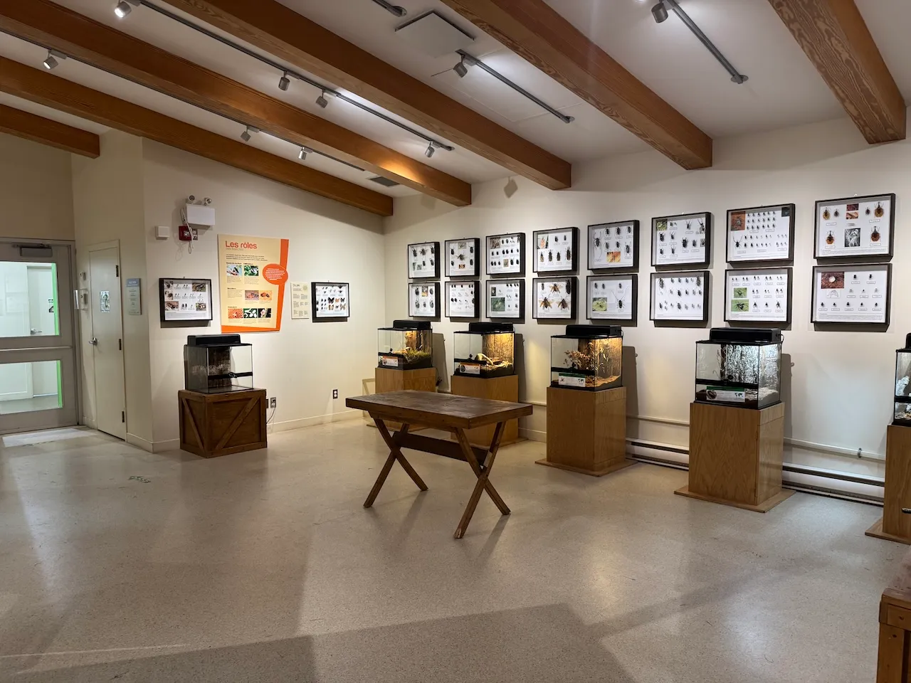 Insectarium
