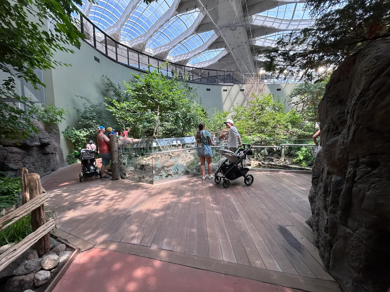 Niveau 2 - Exposition « Érablière des Laurentides »