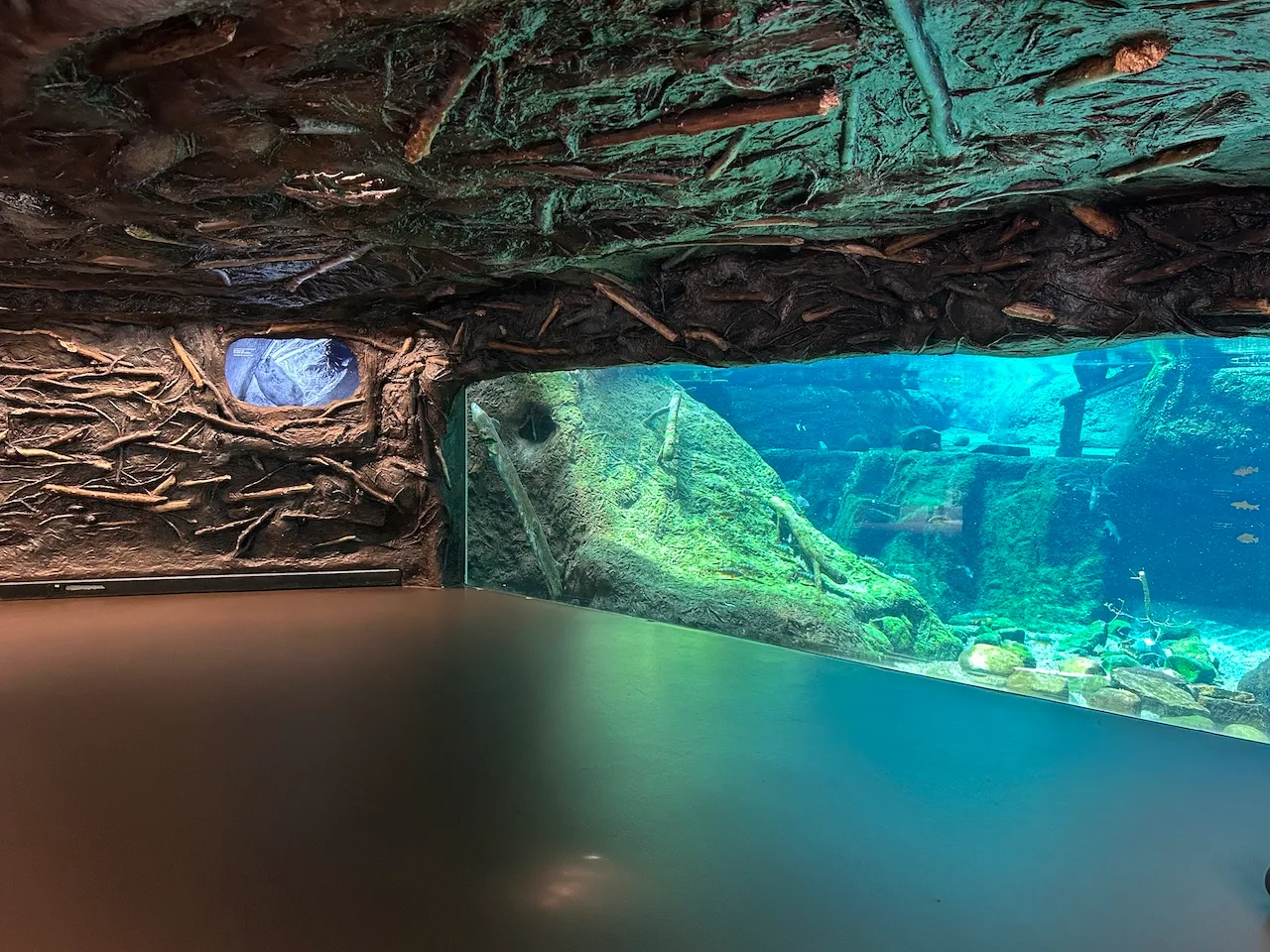 Niveau 2 - Exposition « Érablière des Laurentides »