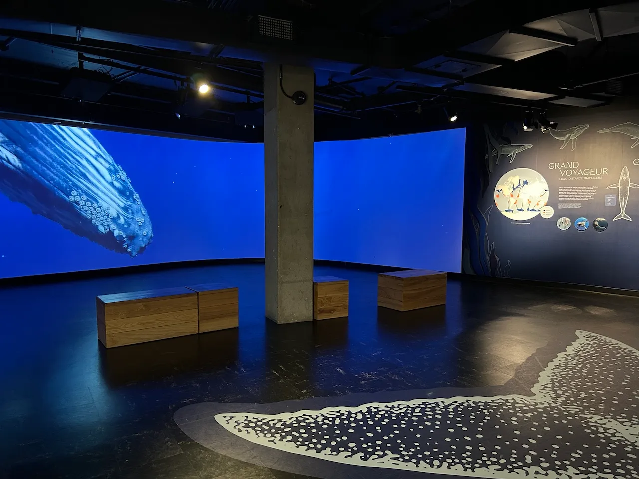 Niveau 1 - Exposition « Une nature tissée serrée»