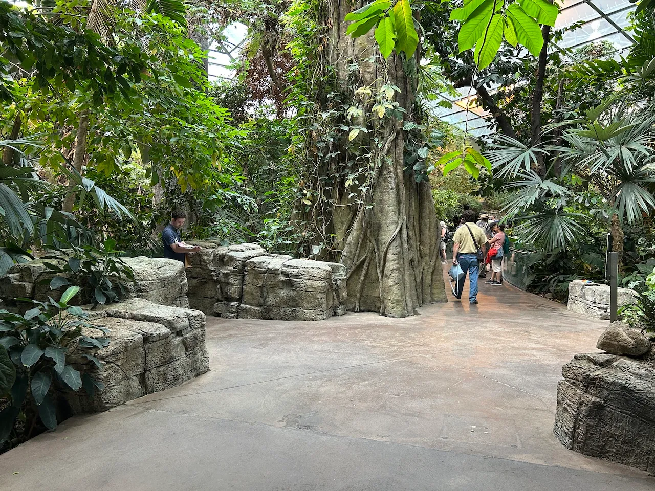 Niveau 2 - Exposition « Forêt tropicale humide »