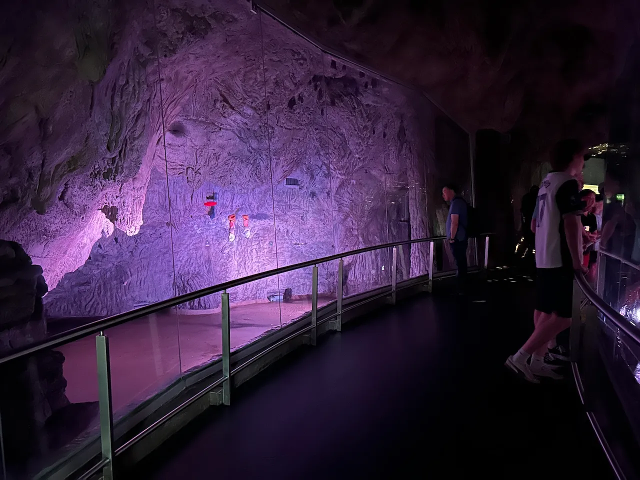 Niveau 2 - Exposition « Forêt tropicale humide »