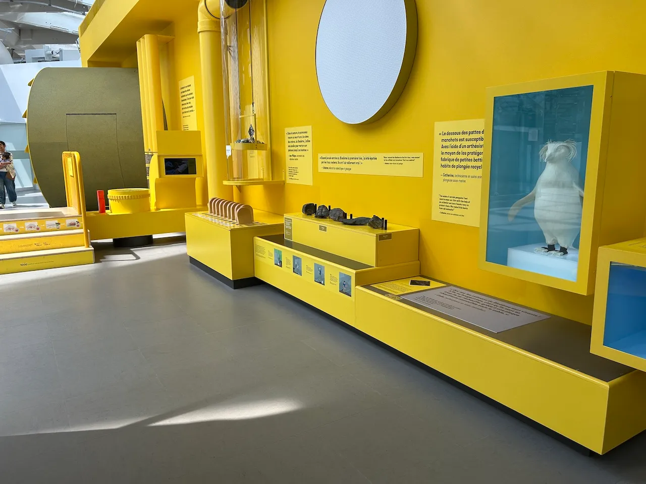 Niveau 3 - Exposition « La Bio Machine »