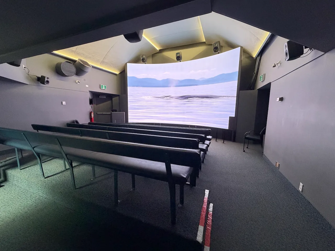 Screening Room