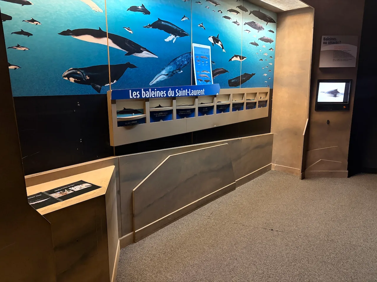 Exhibition Hall