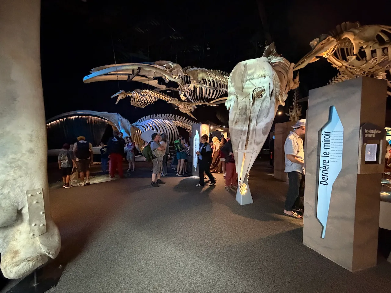 Exhibition Hall