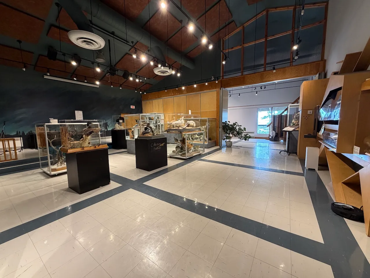Semi-permanent exhibition : «La Faune du Québec»