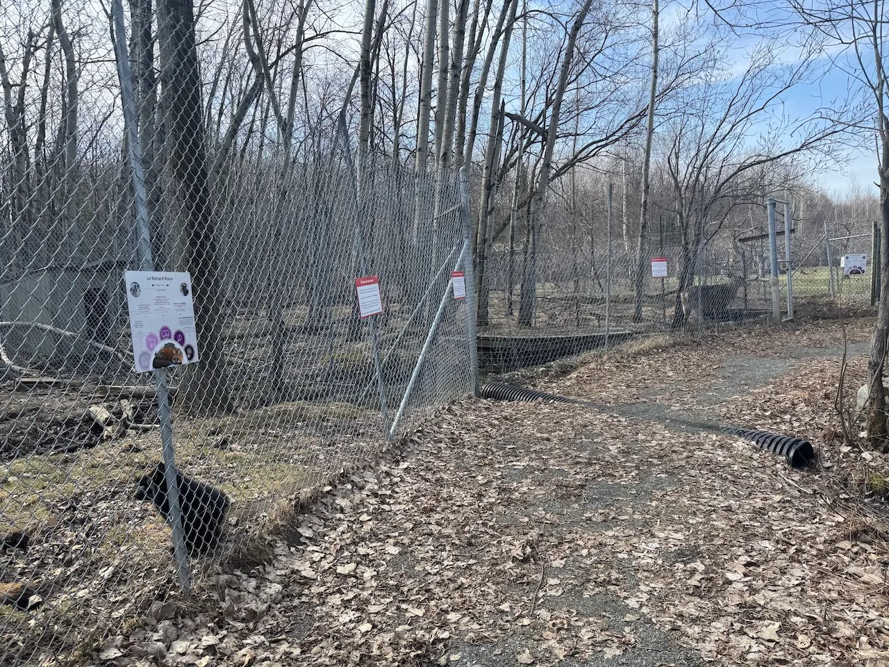 Animals to observe near the trails