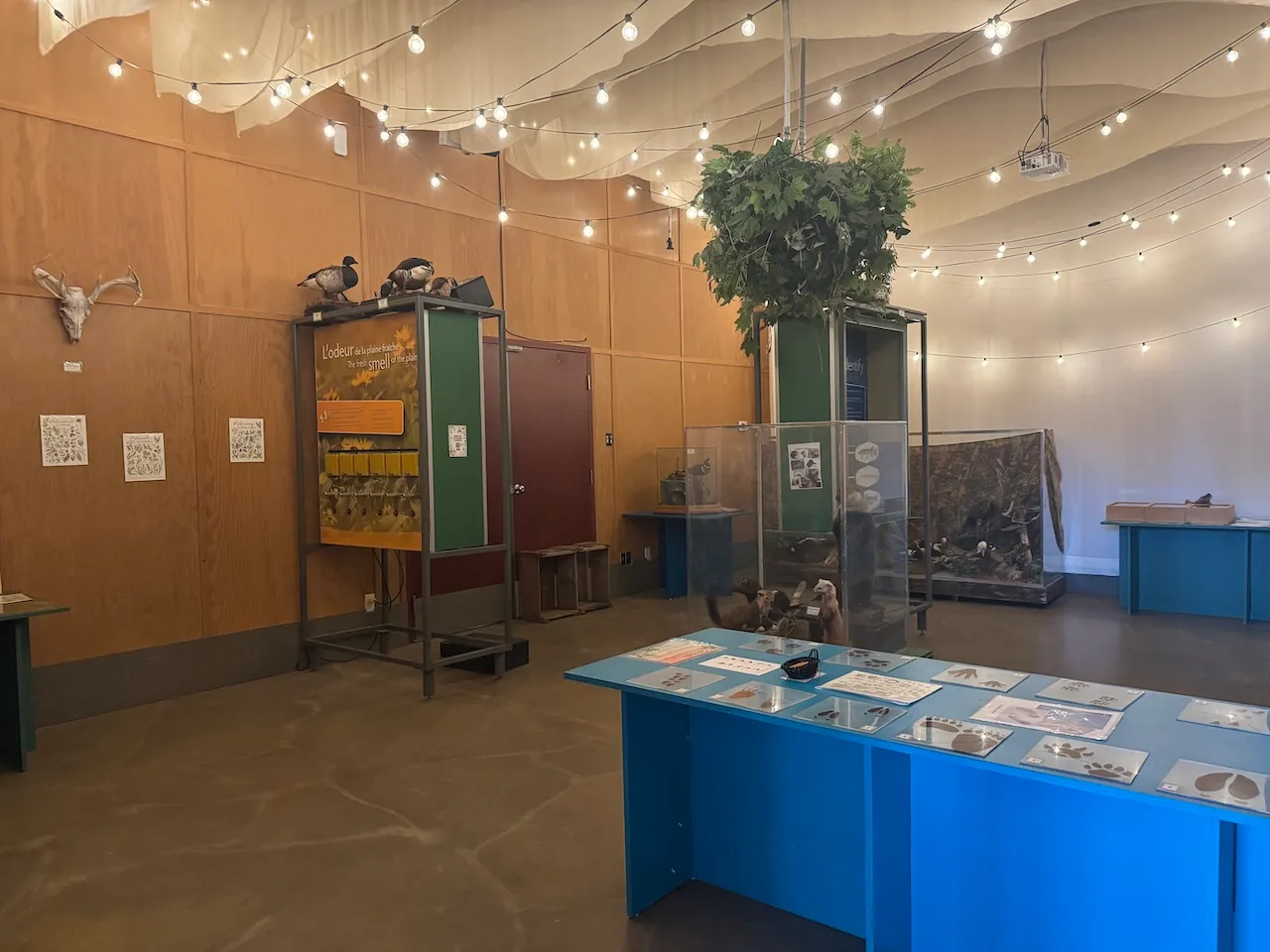 Exhibition - Room of the senses