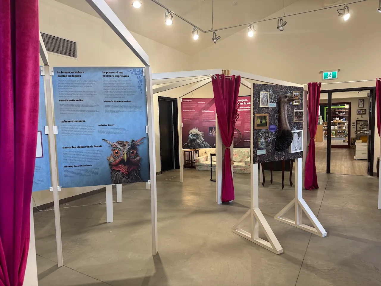 Temporary exhibition