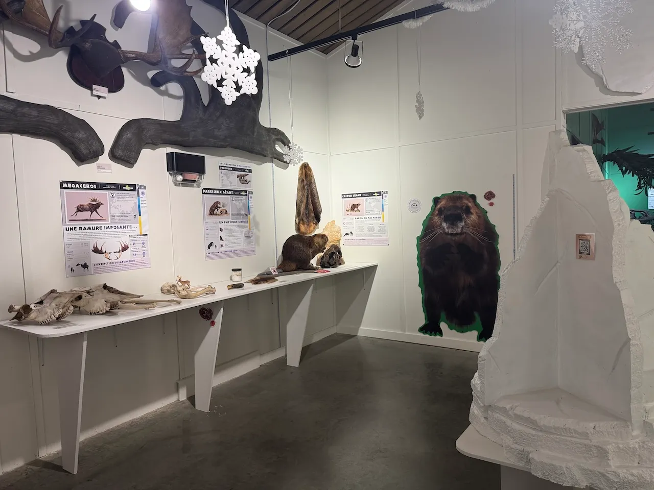 Exhibition - Explo-Discovery tour