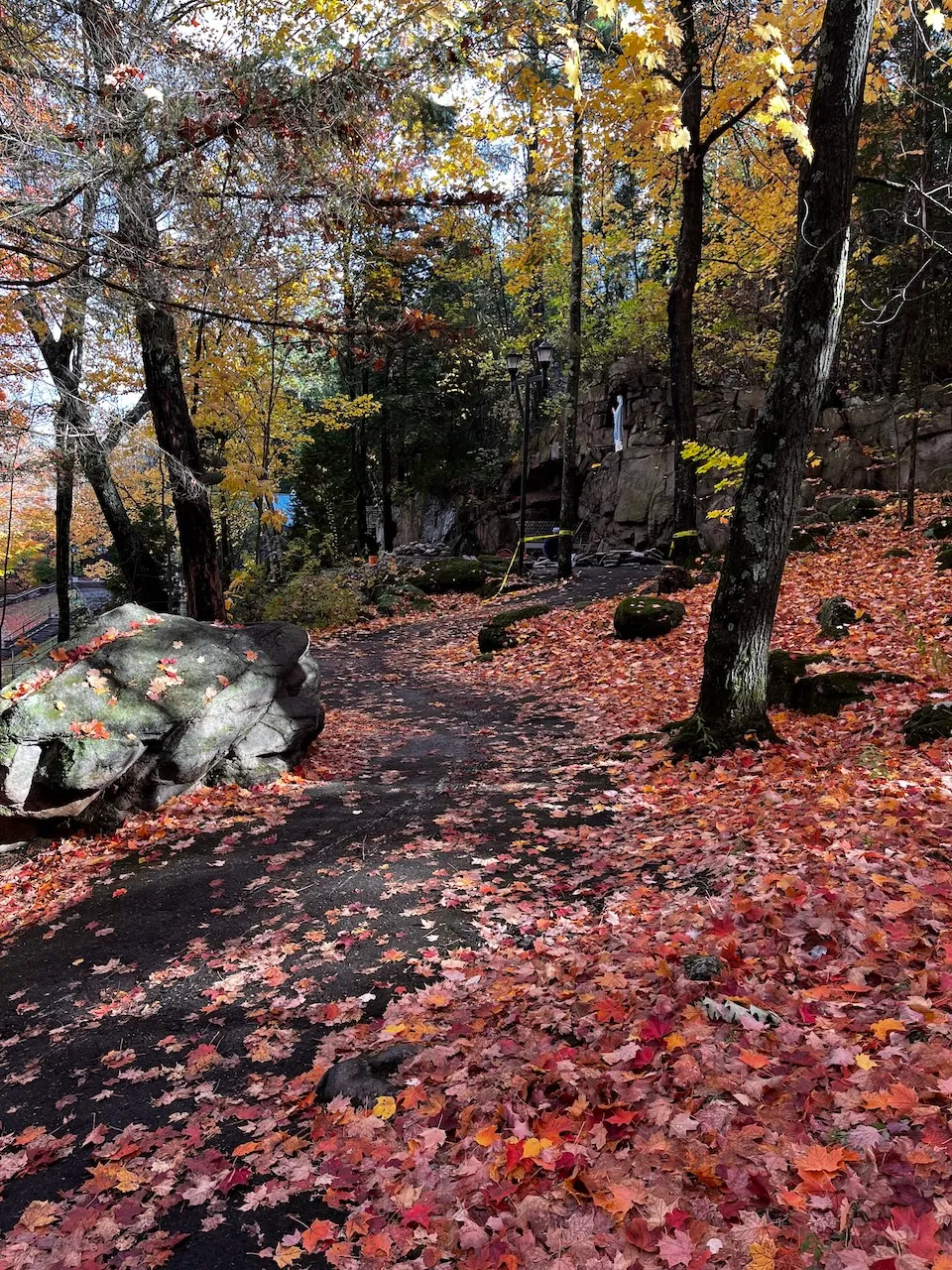 Sentier vers la grotte - partiellement accessible (14%)