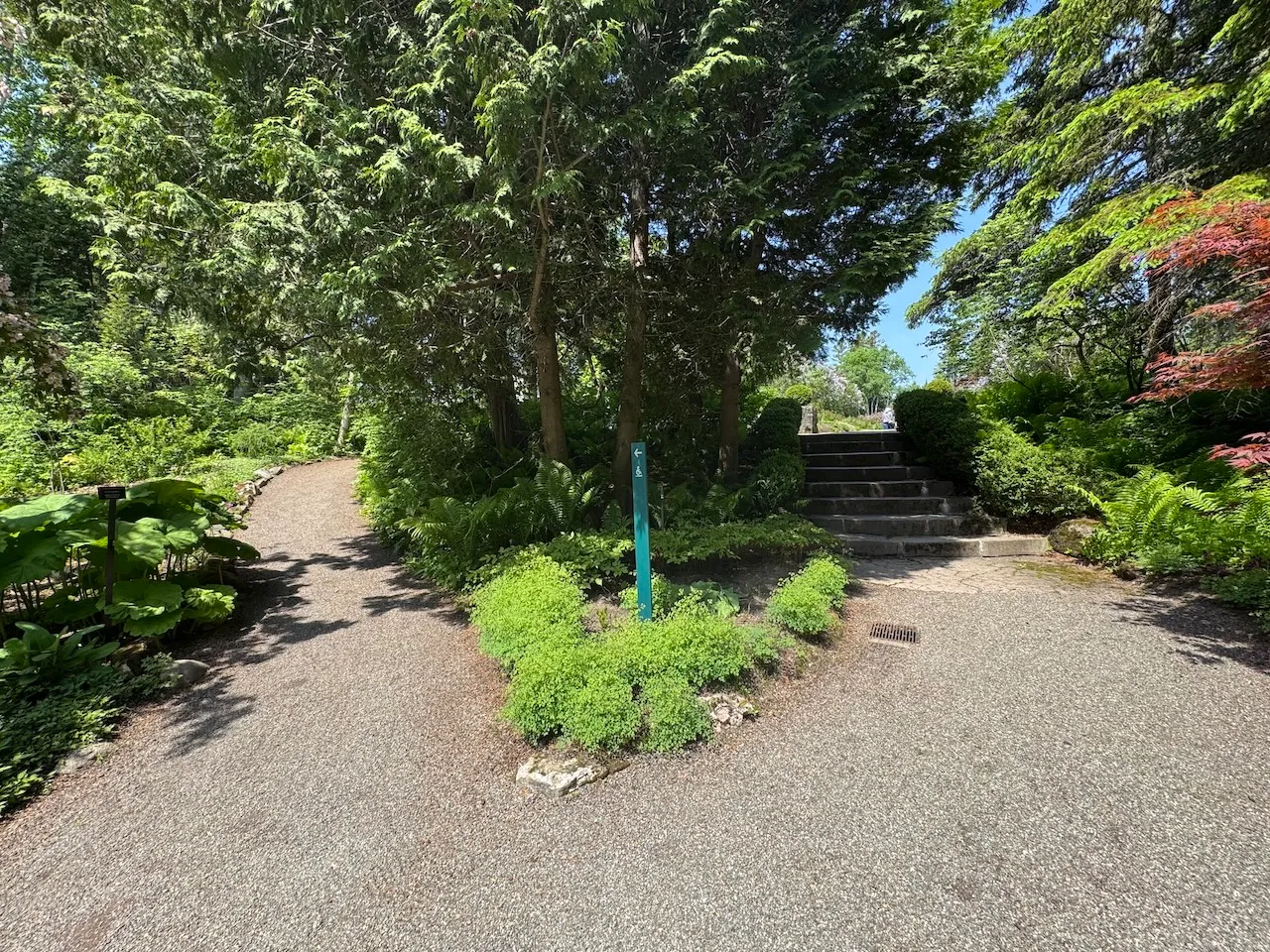 Sentier avec des marches et sentier alternatif en pente