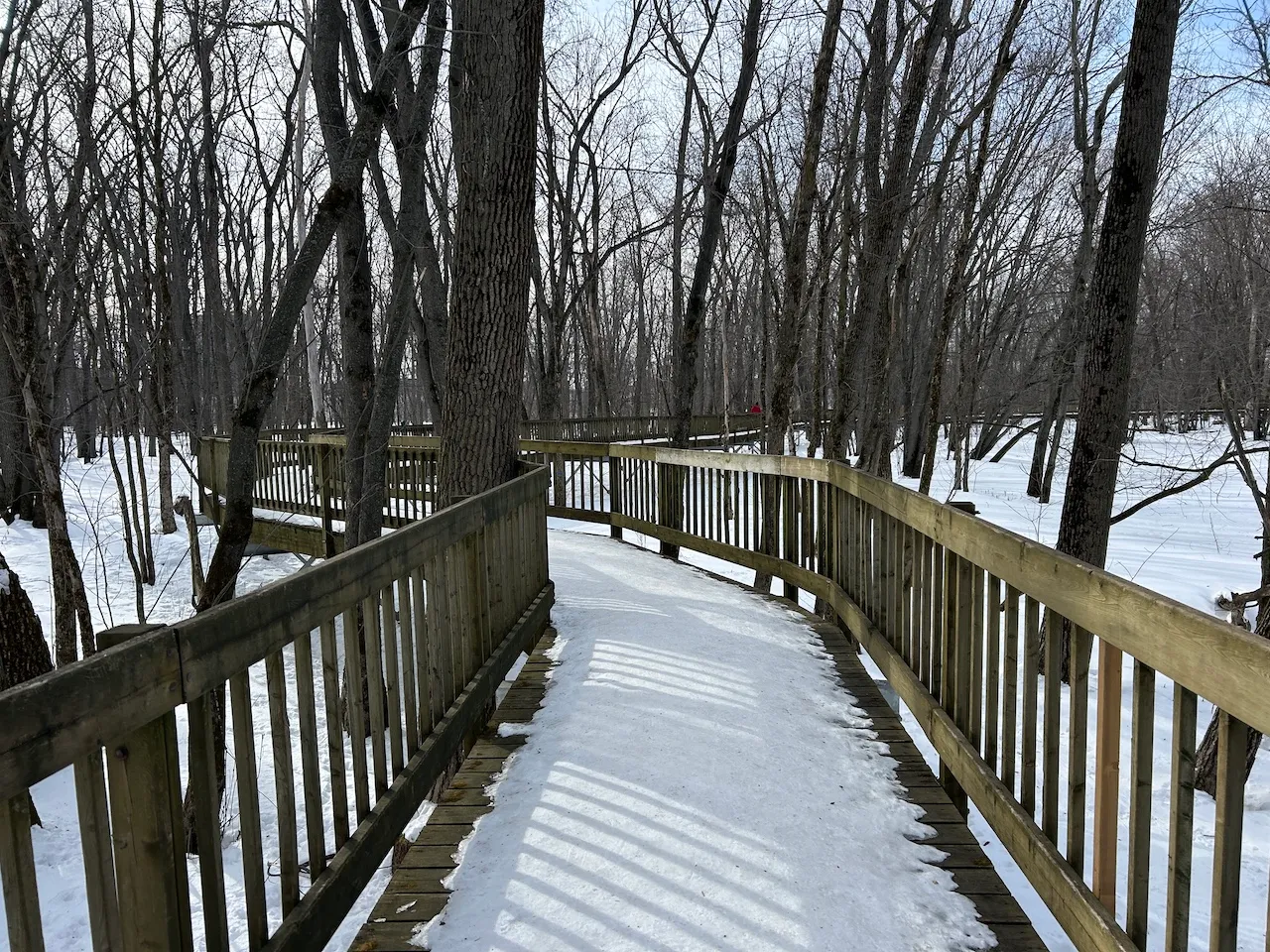 Interpretation footbridge