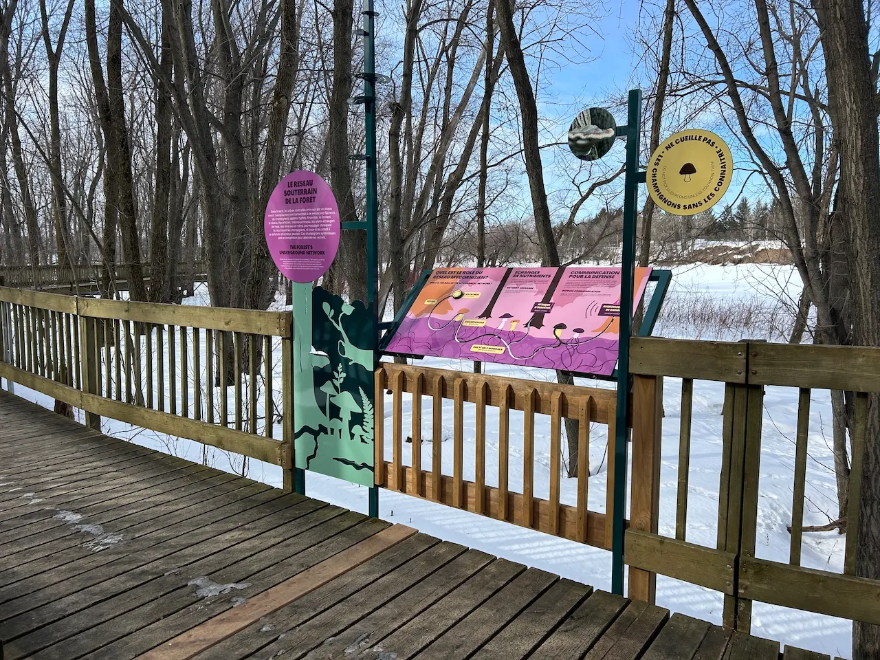 Interpretation footbridge - Interpretive Signs