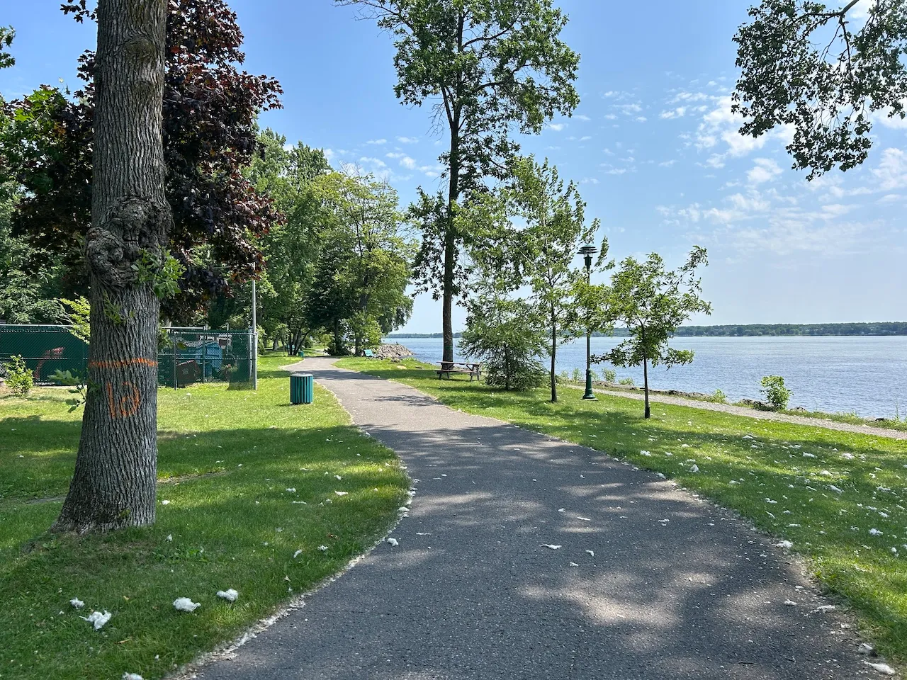 Walking Trail
