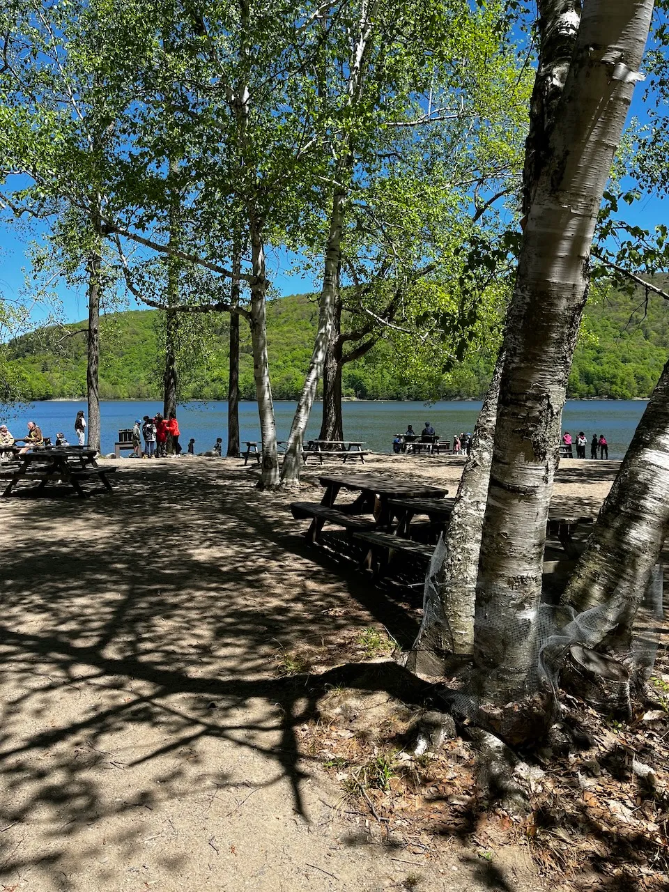 Hertel Lake Picnic Area