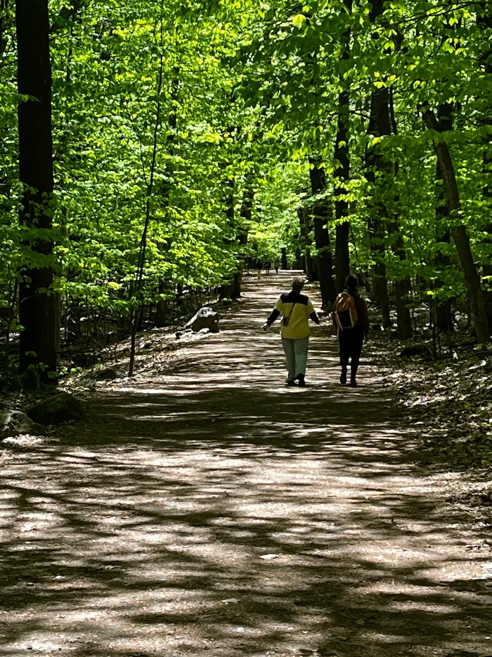 Hertel Lake Trail