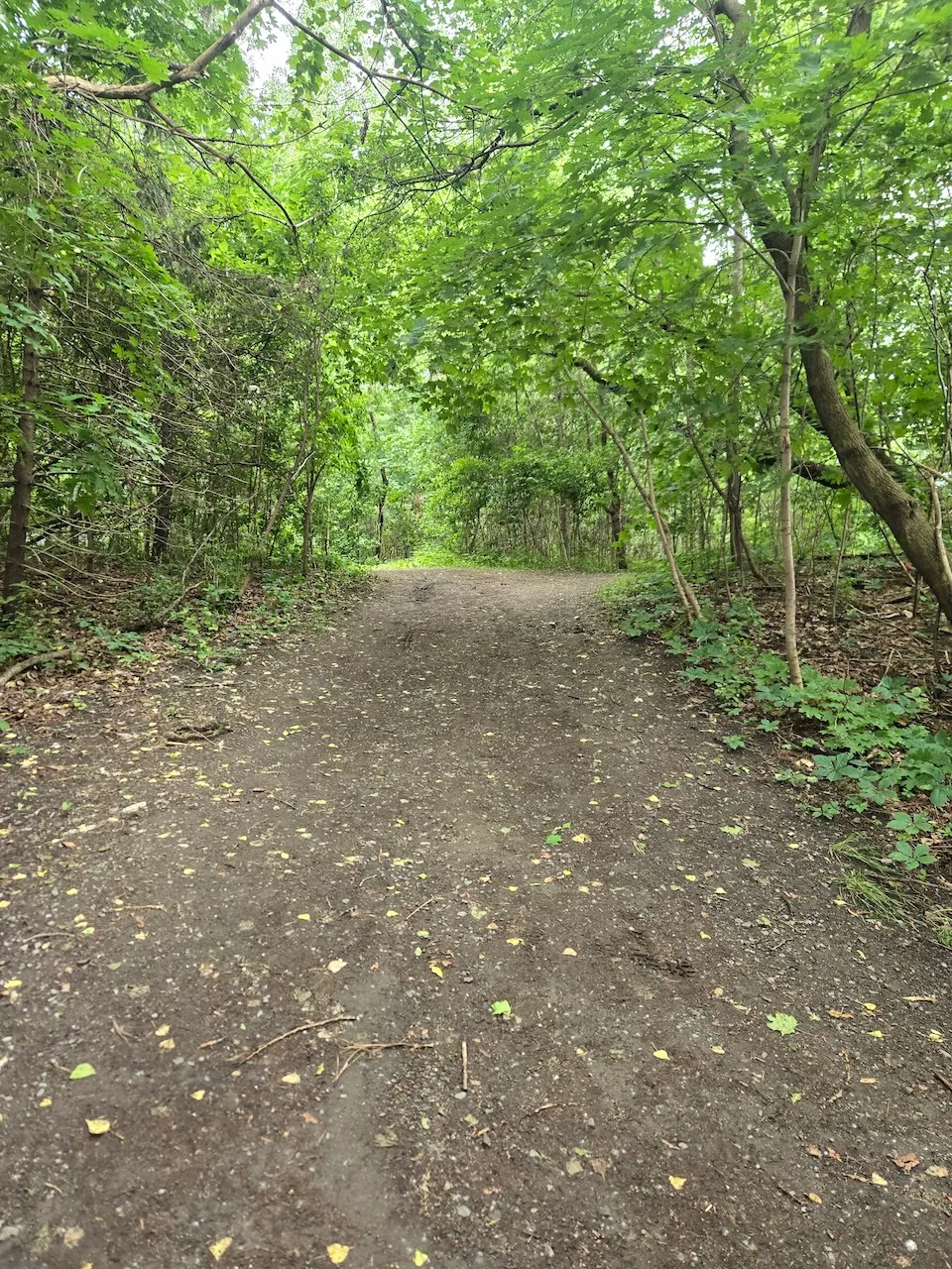 Sentier du parc