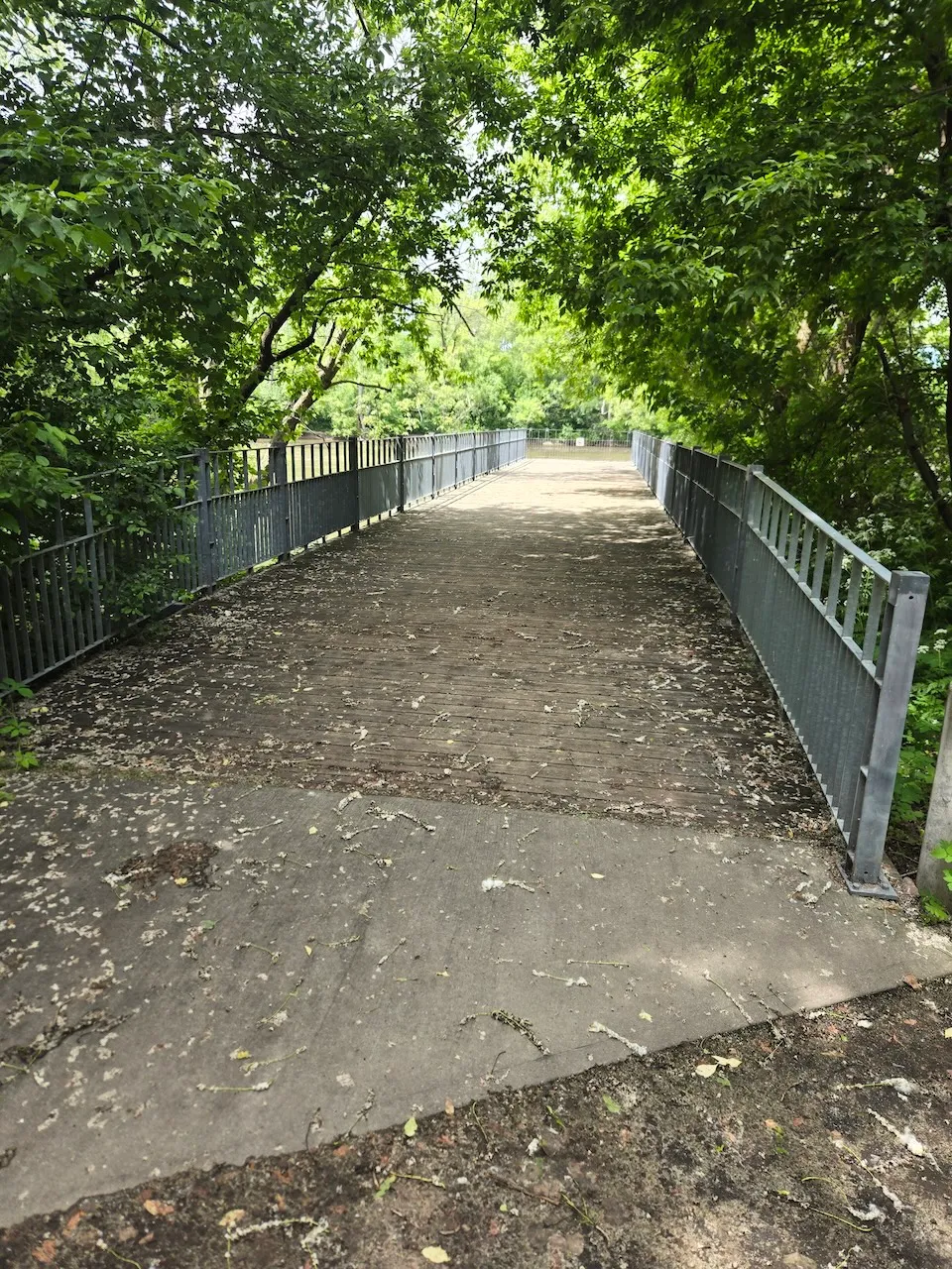 Sentier du parc