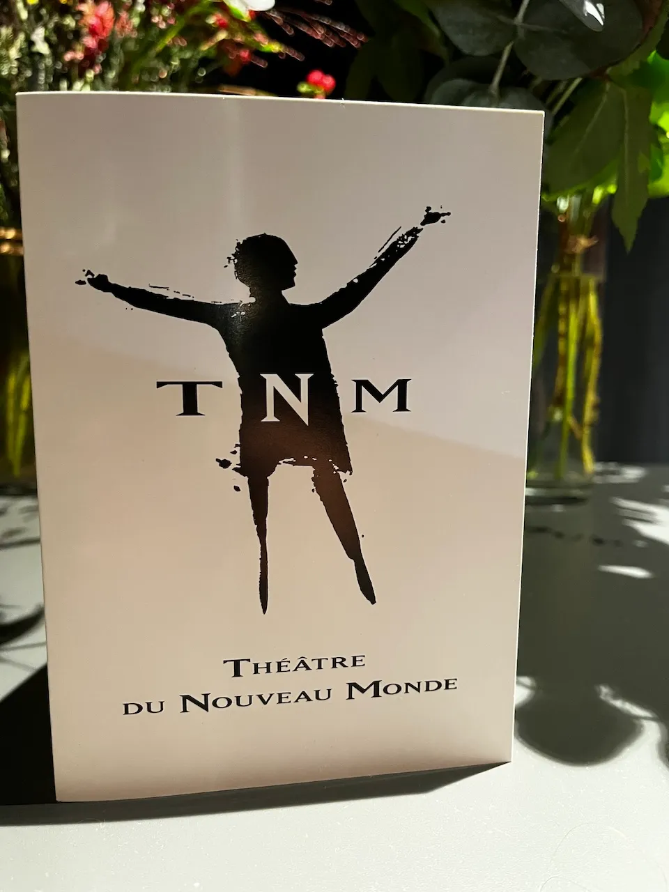 Théâtre du Nouveau Monde