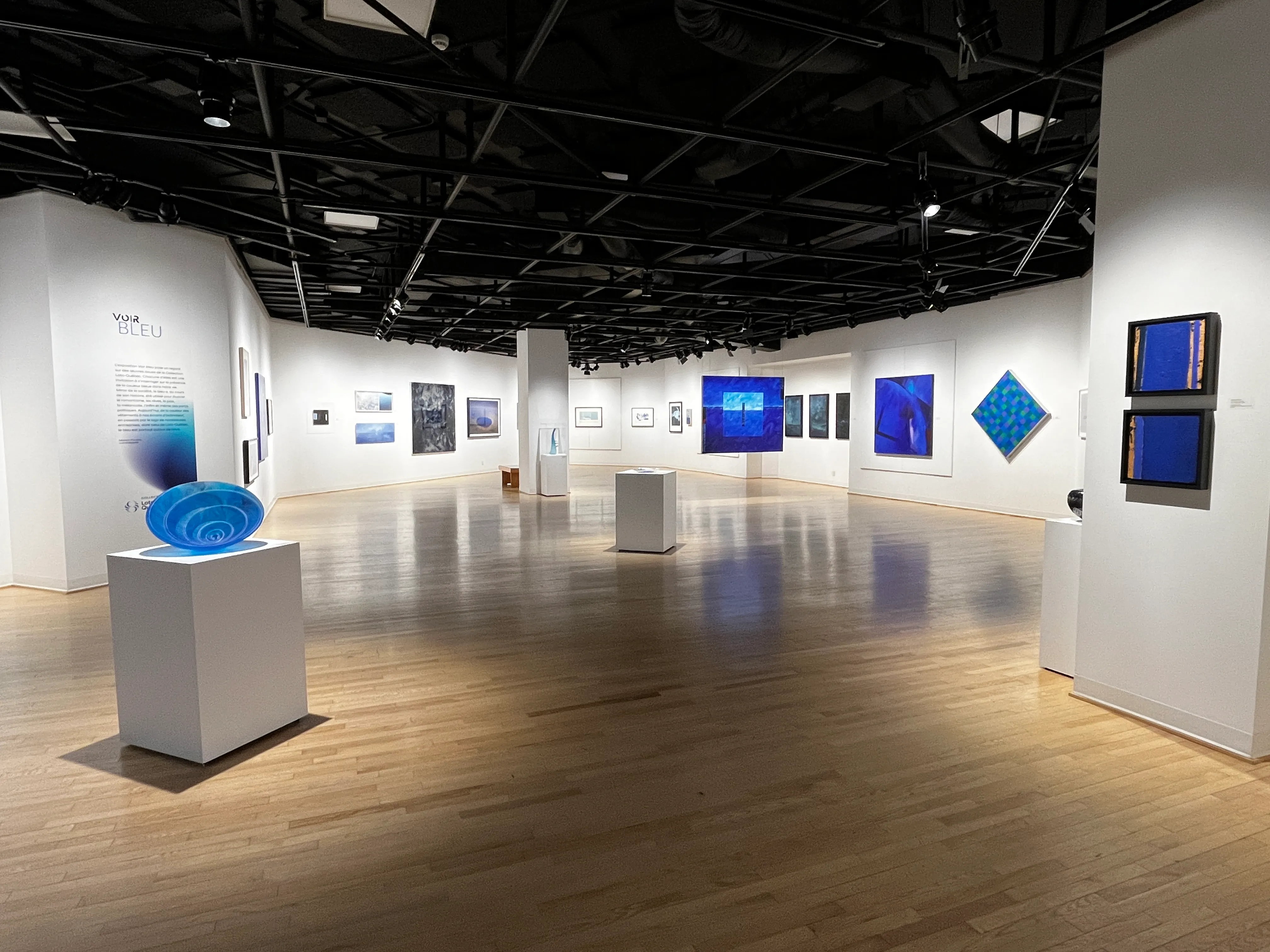 Art gallery - Temporary exhibition