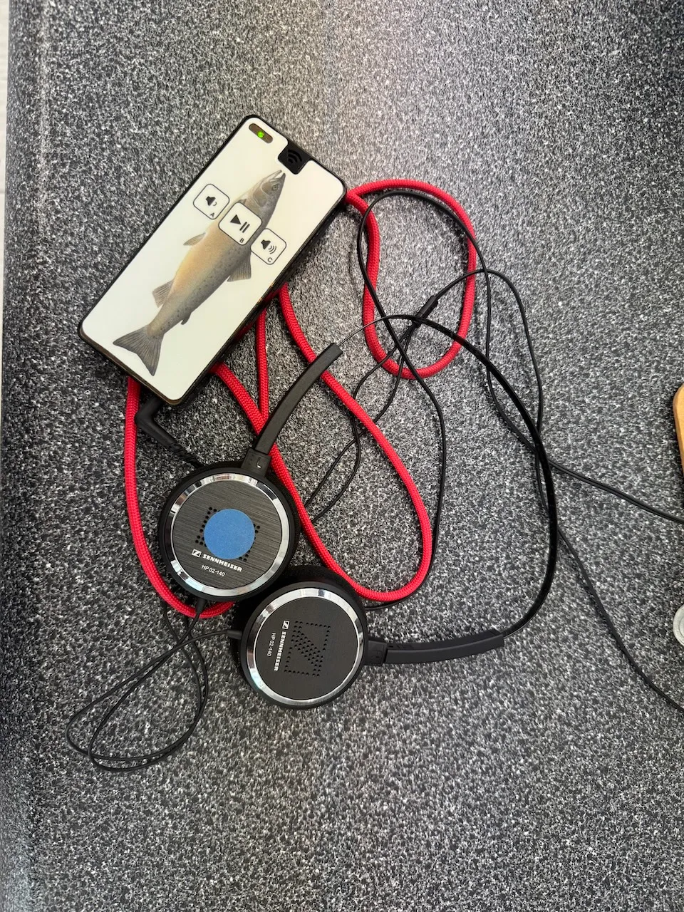 Audio guide et écouteurs