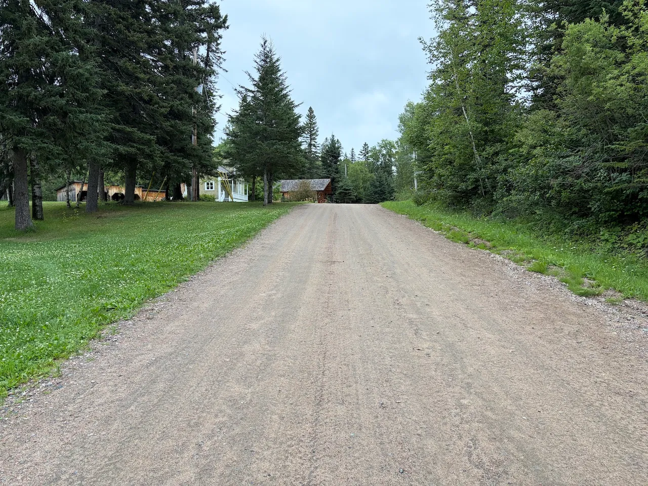 Sentier en pente entre l'Atelier et le Moulin