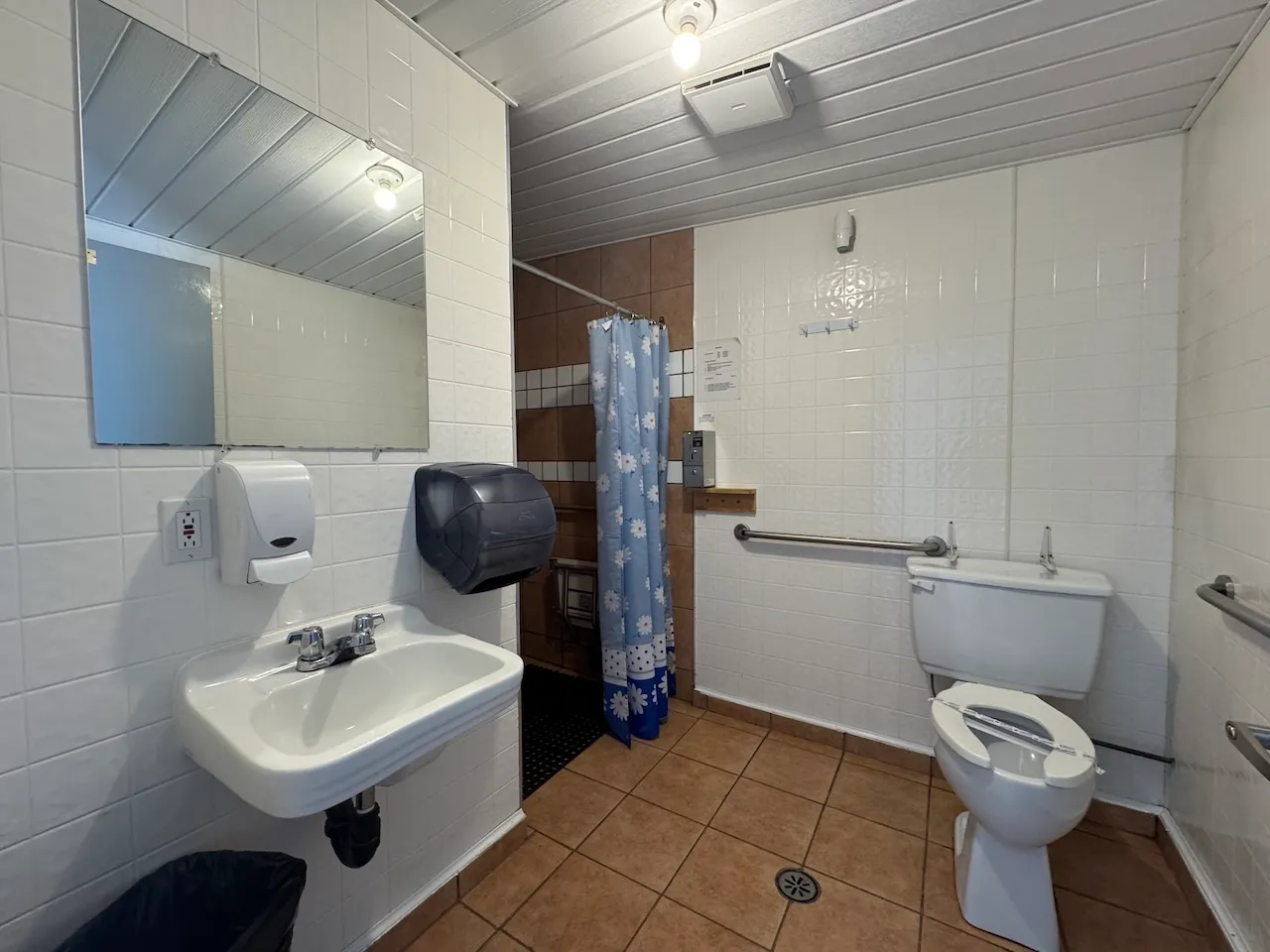 Accessible bathroom and shower