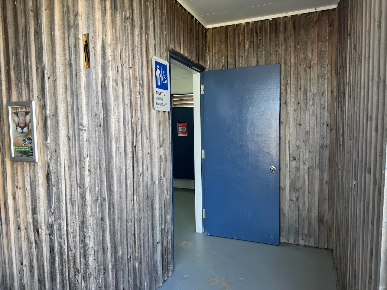 Bâtiment d'animation - Salle de toilette