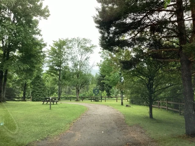 Vue d'ensemble du site