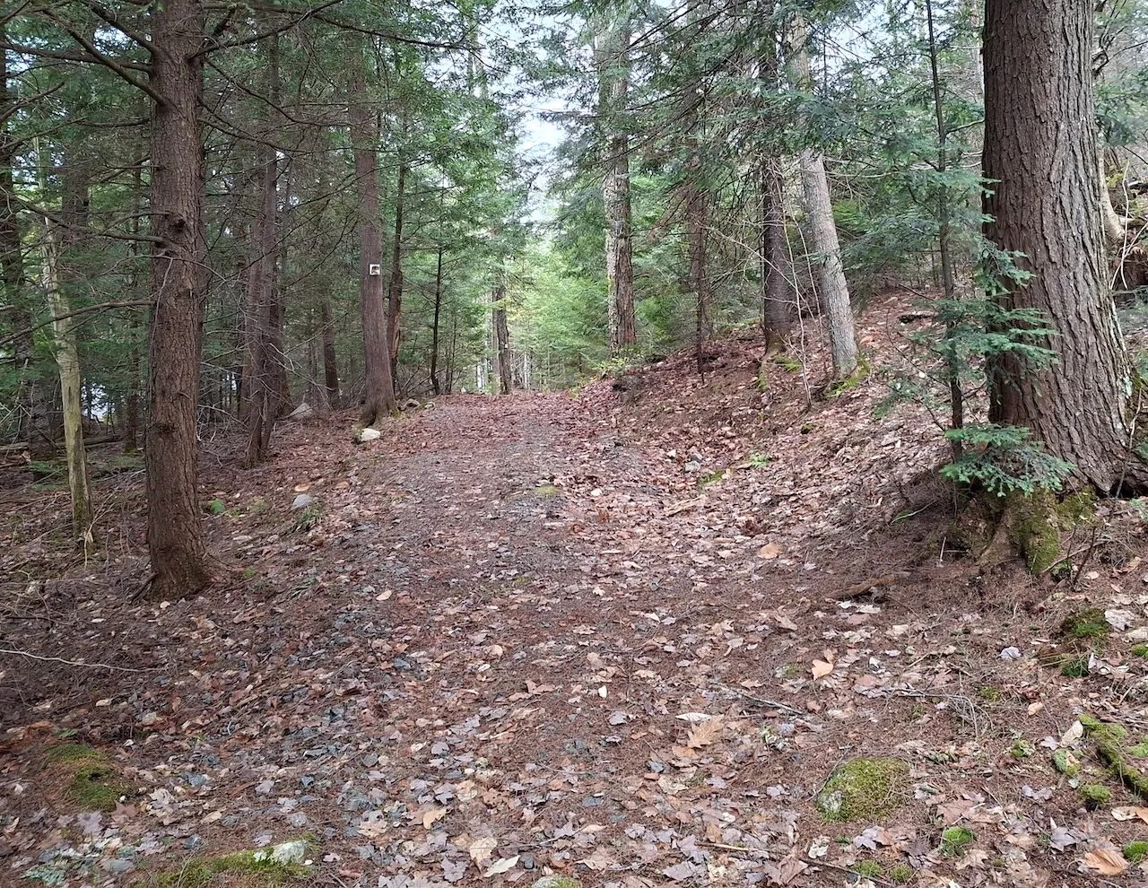 Sentier pédestre #5 - L'Escalade