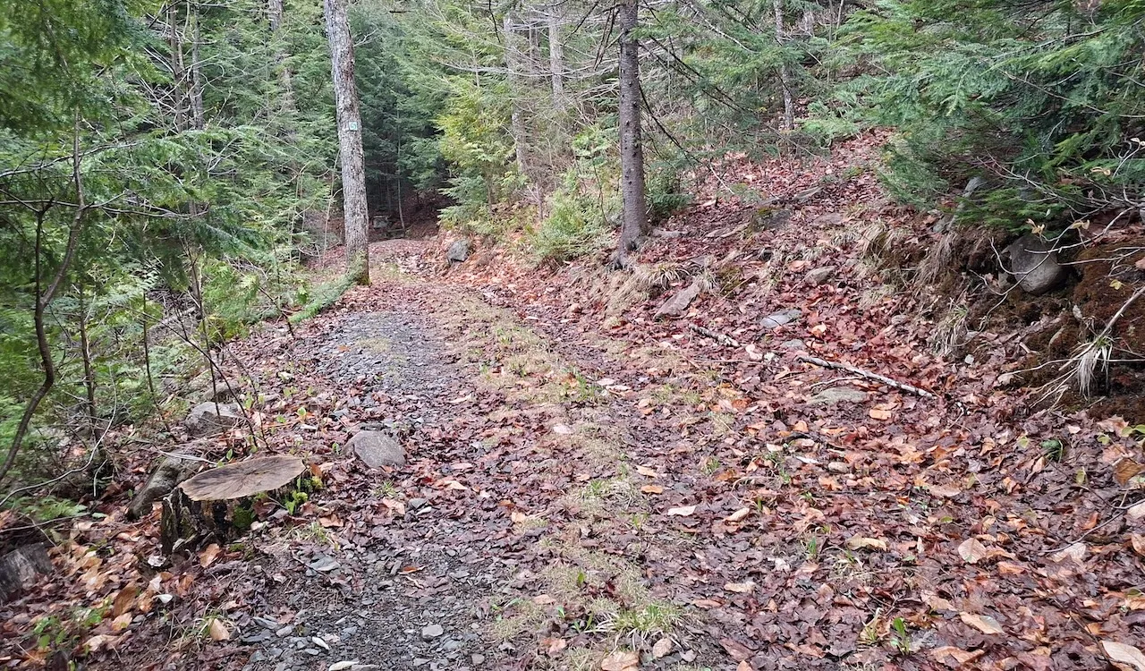 Sentier pédestre #5 - L'Escalade