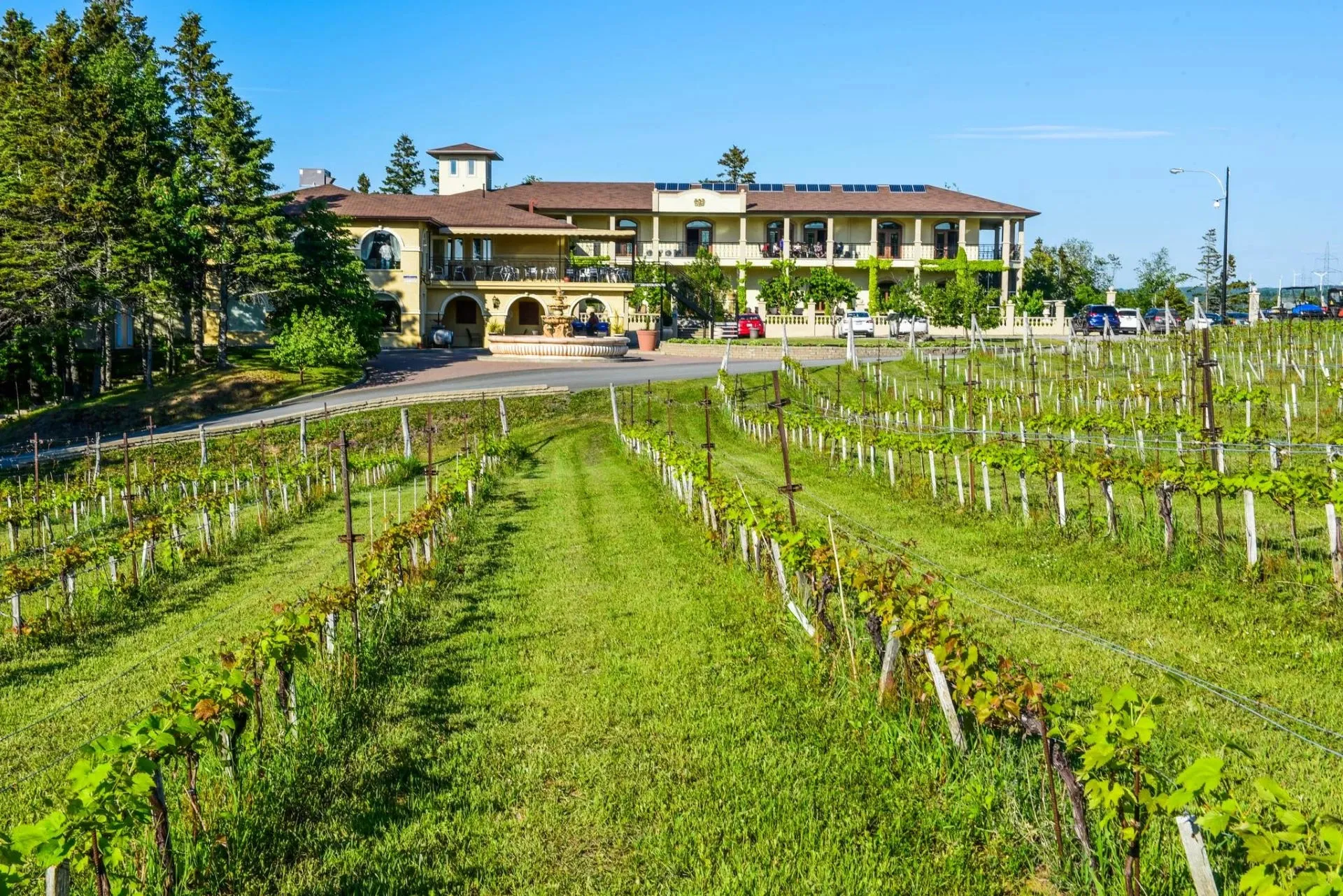 Vignoble Carpinteri - Bâtiment Salle de dégustation et restaurant