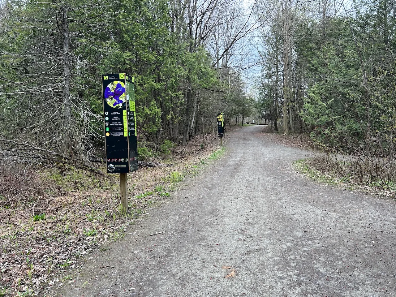 Sentier du Petit houx