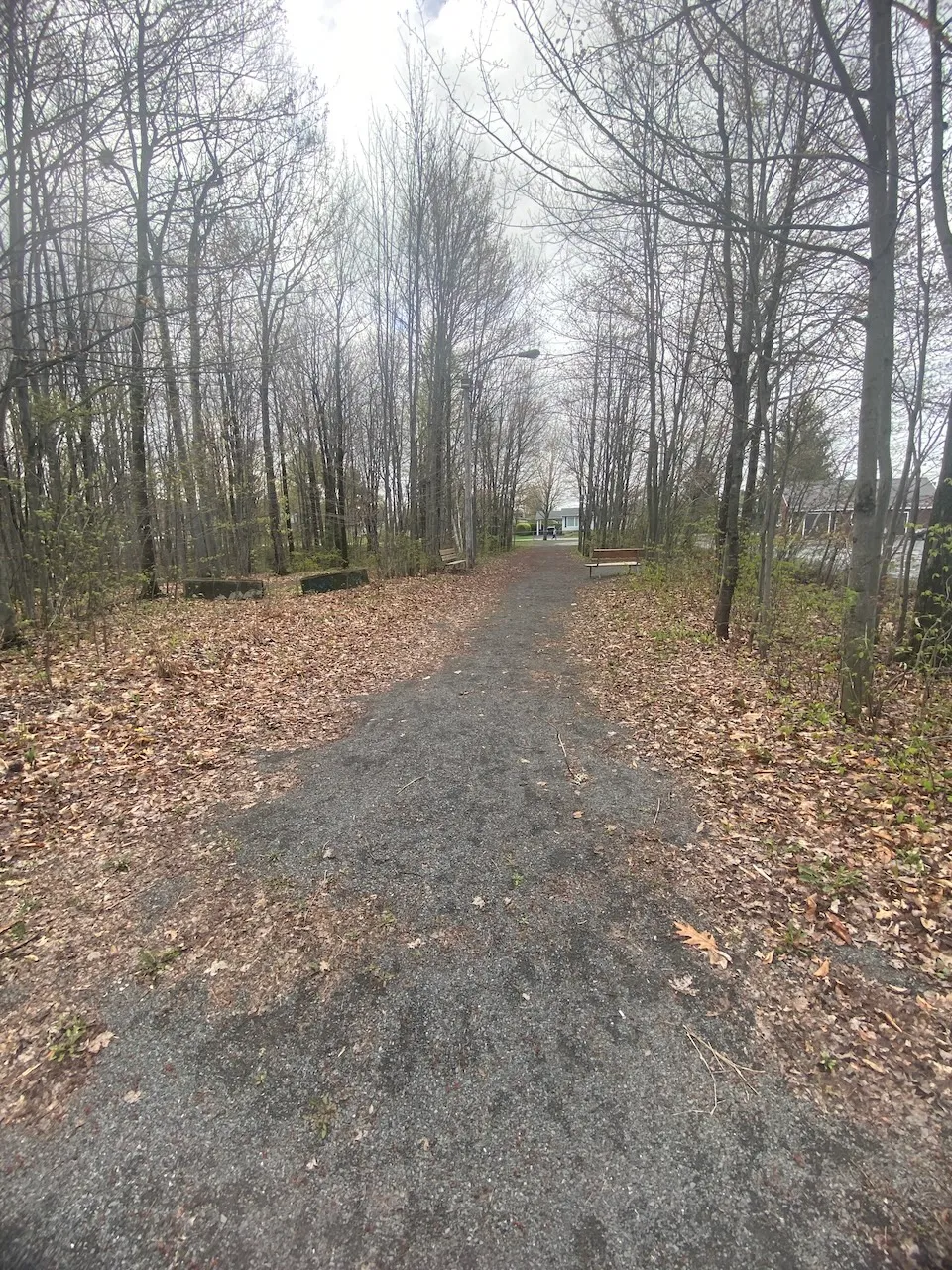 Trail