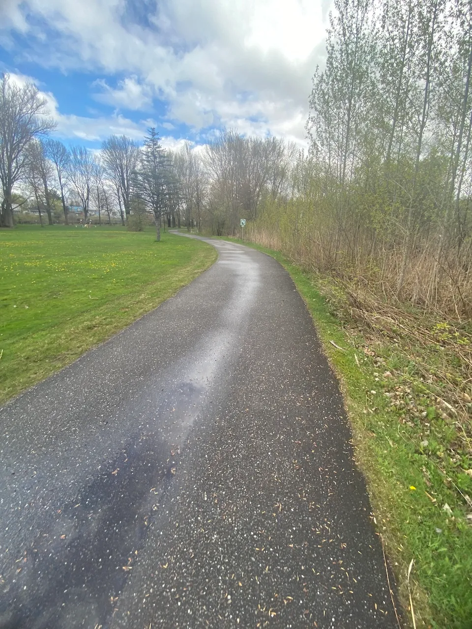 Trail