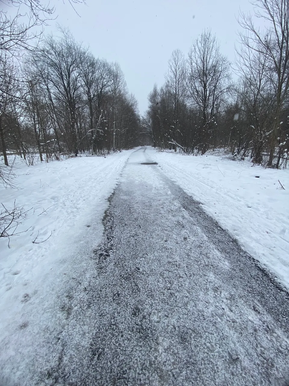 Trail