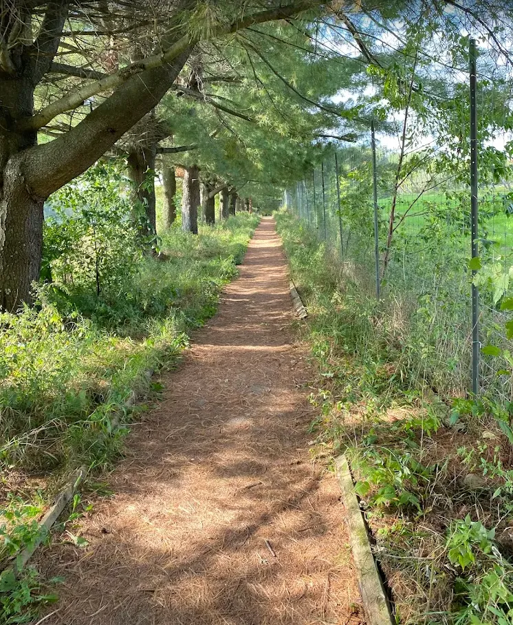 Walking trail (photo: Gyna Grenier)