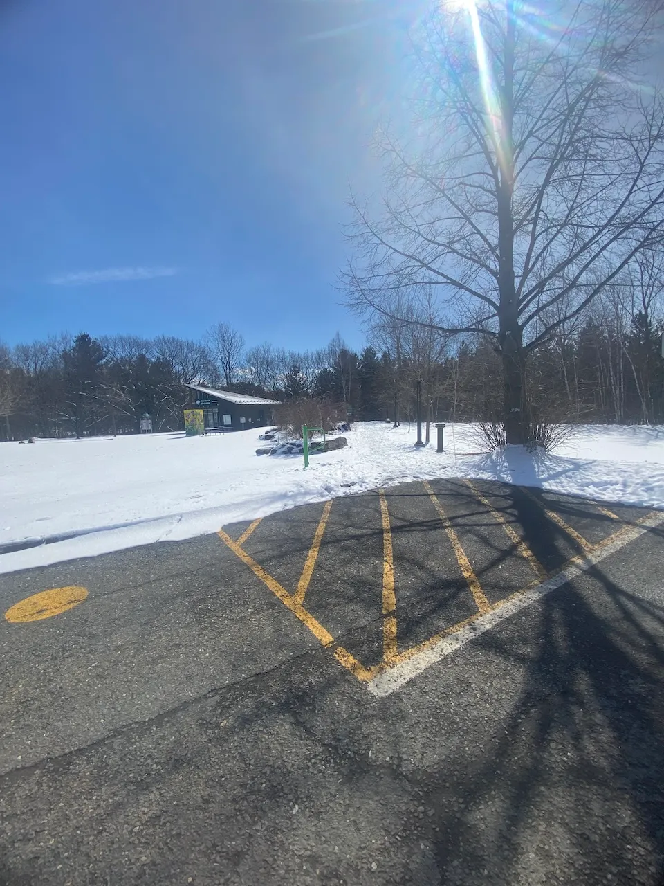 Path leading to the trail and the artist’s residence (reception building)