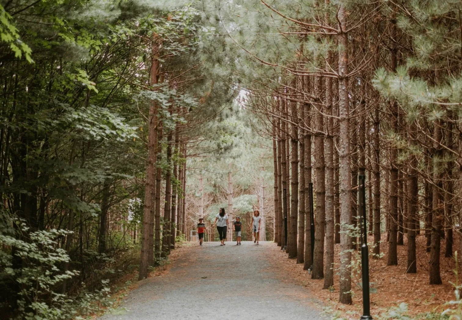 Walking trail (credit: Les Maximes)
