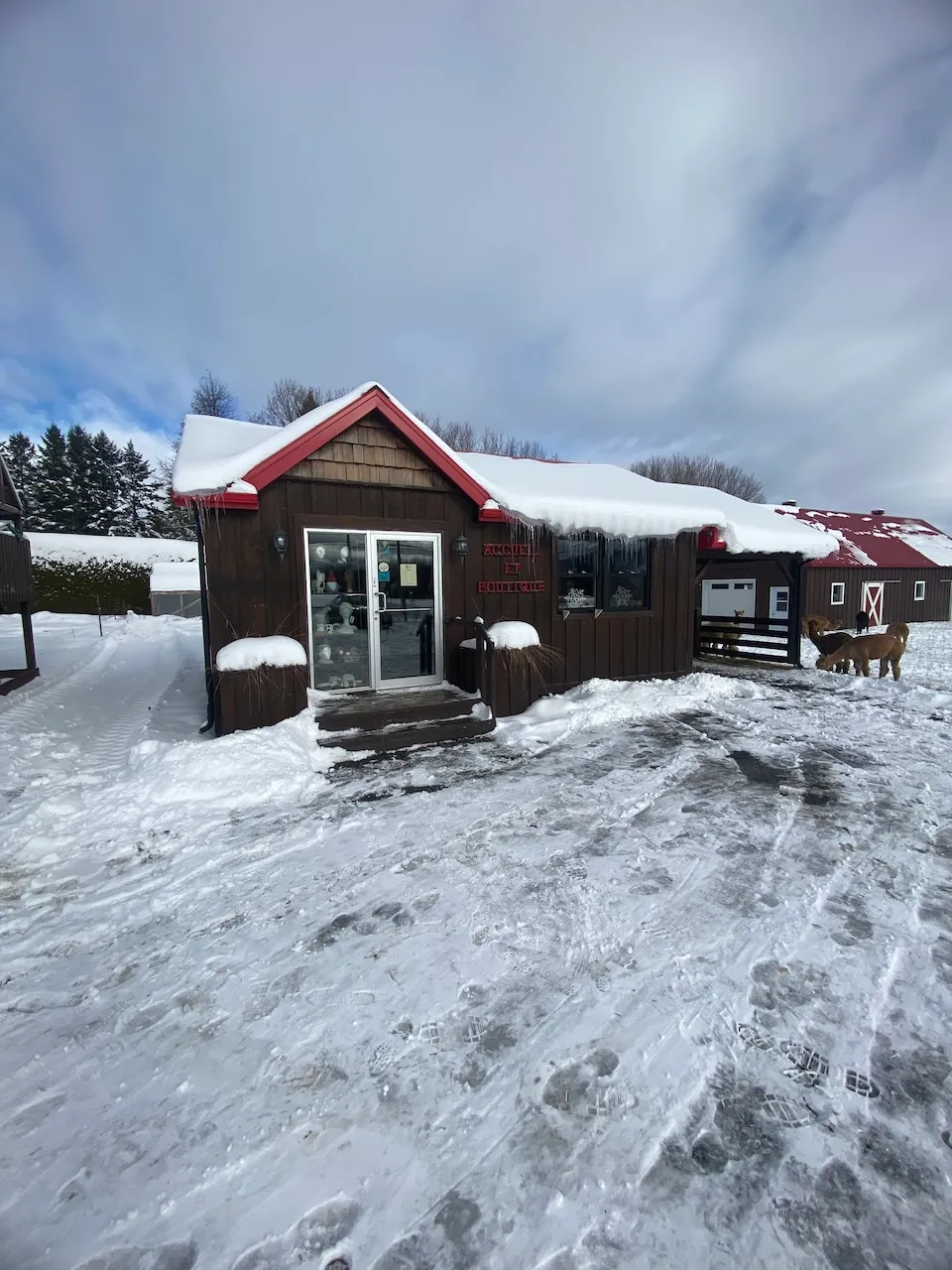 Alpagas d'Ham Nature