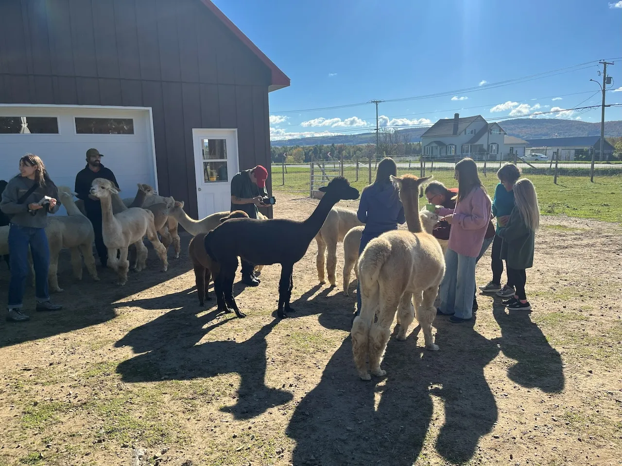 Zone de la visite guidée