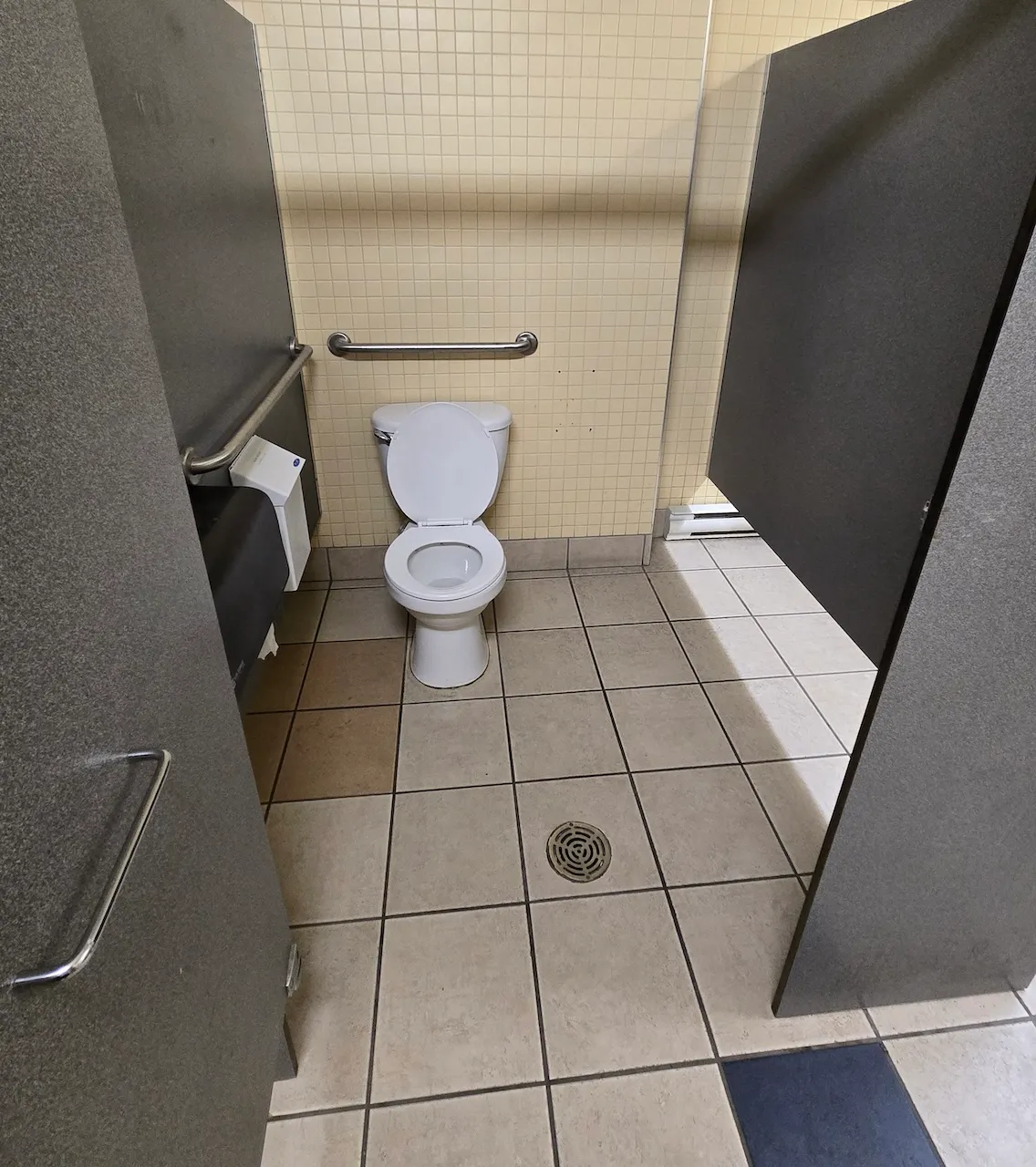 Cabinet de toilette accessible