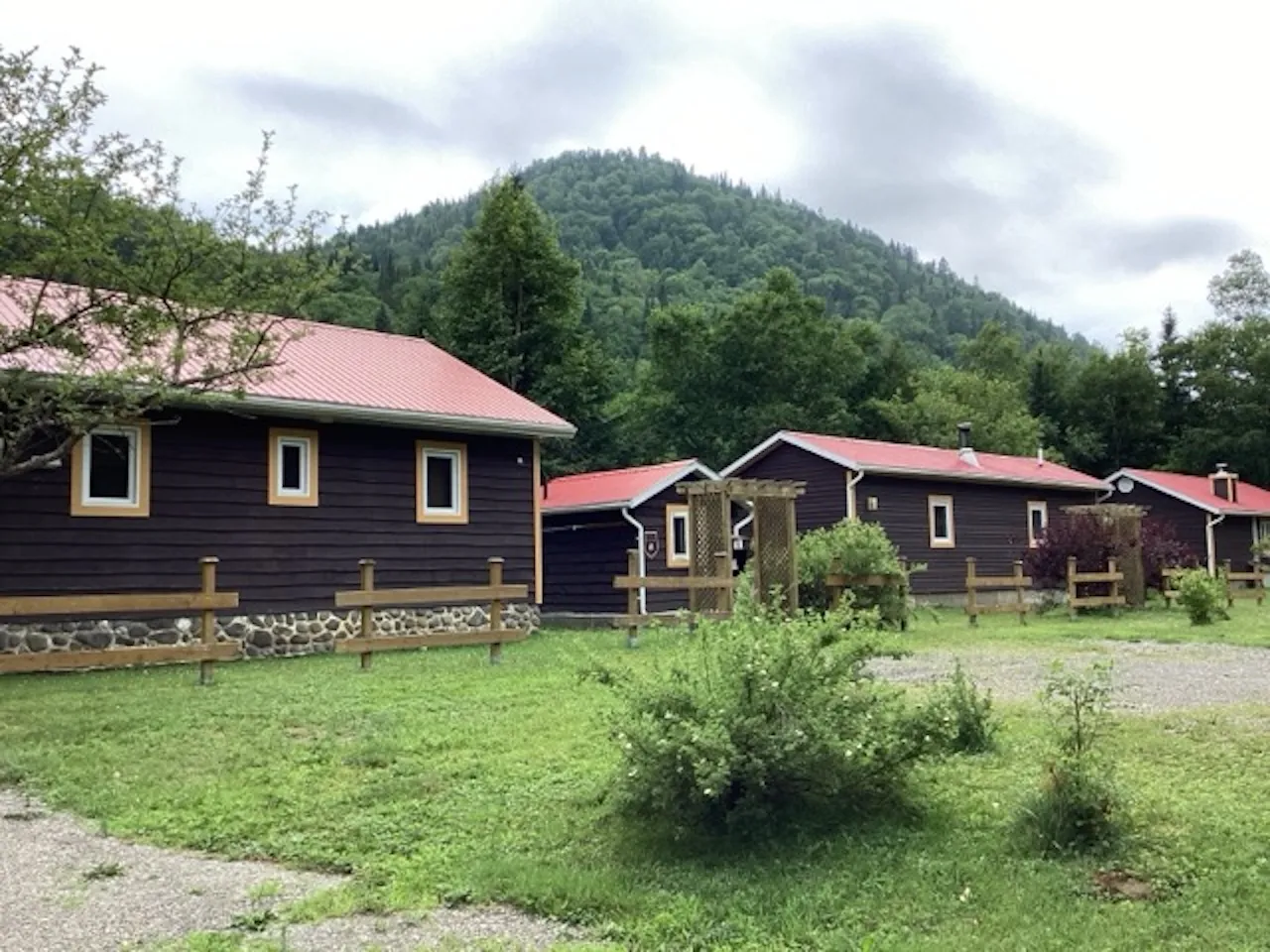 Vue d'ensemble du site