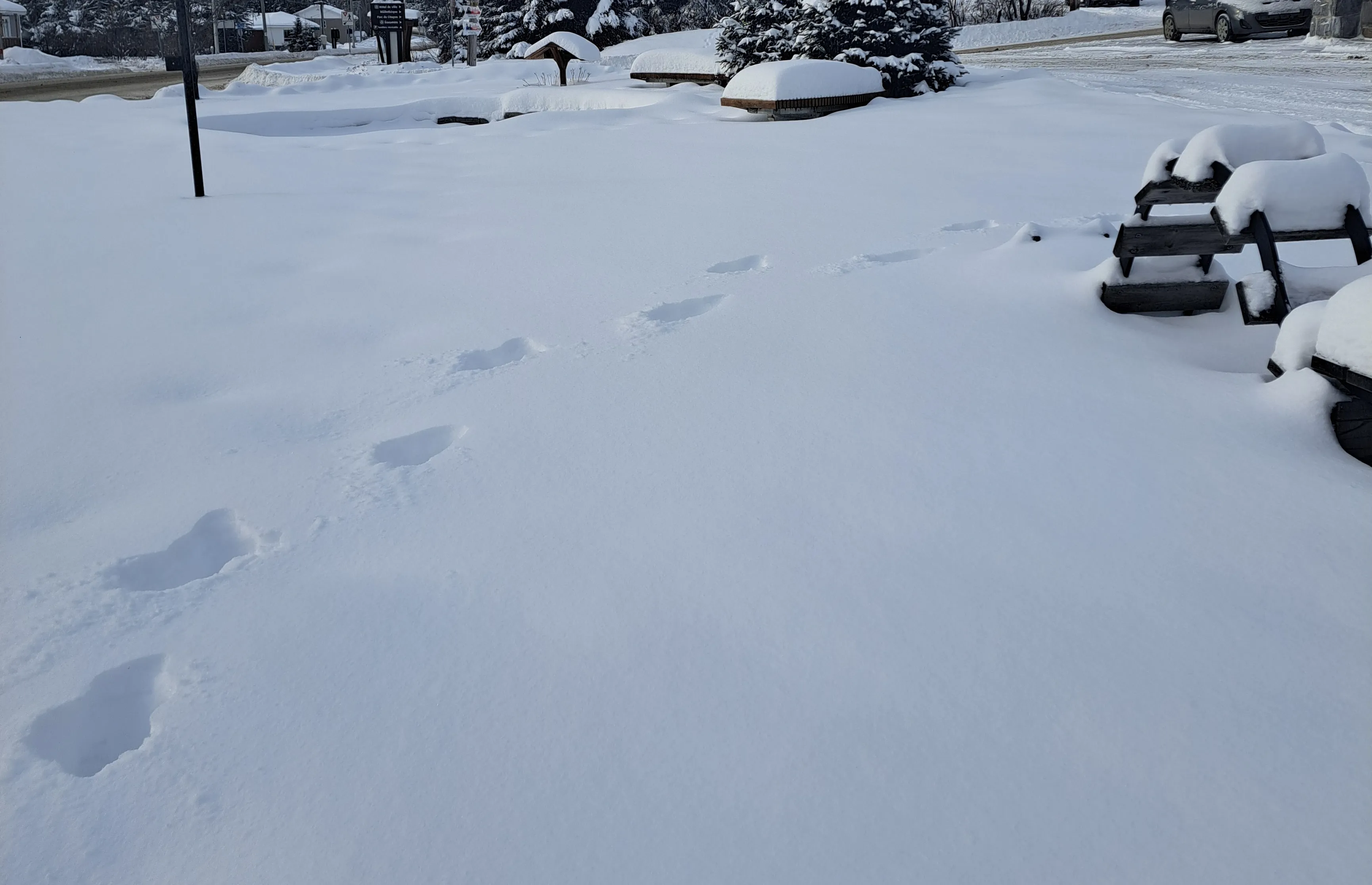 Sentier : inaccessible en hiver